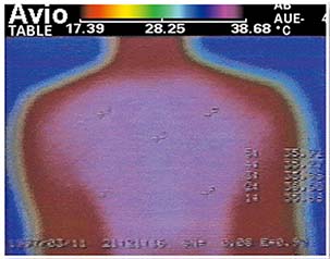 Biomat vs Heating Pad